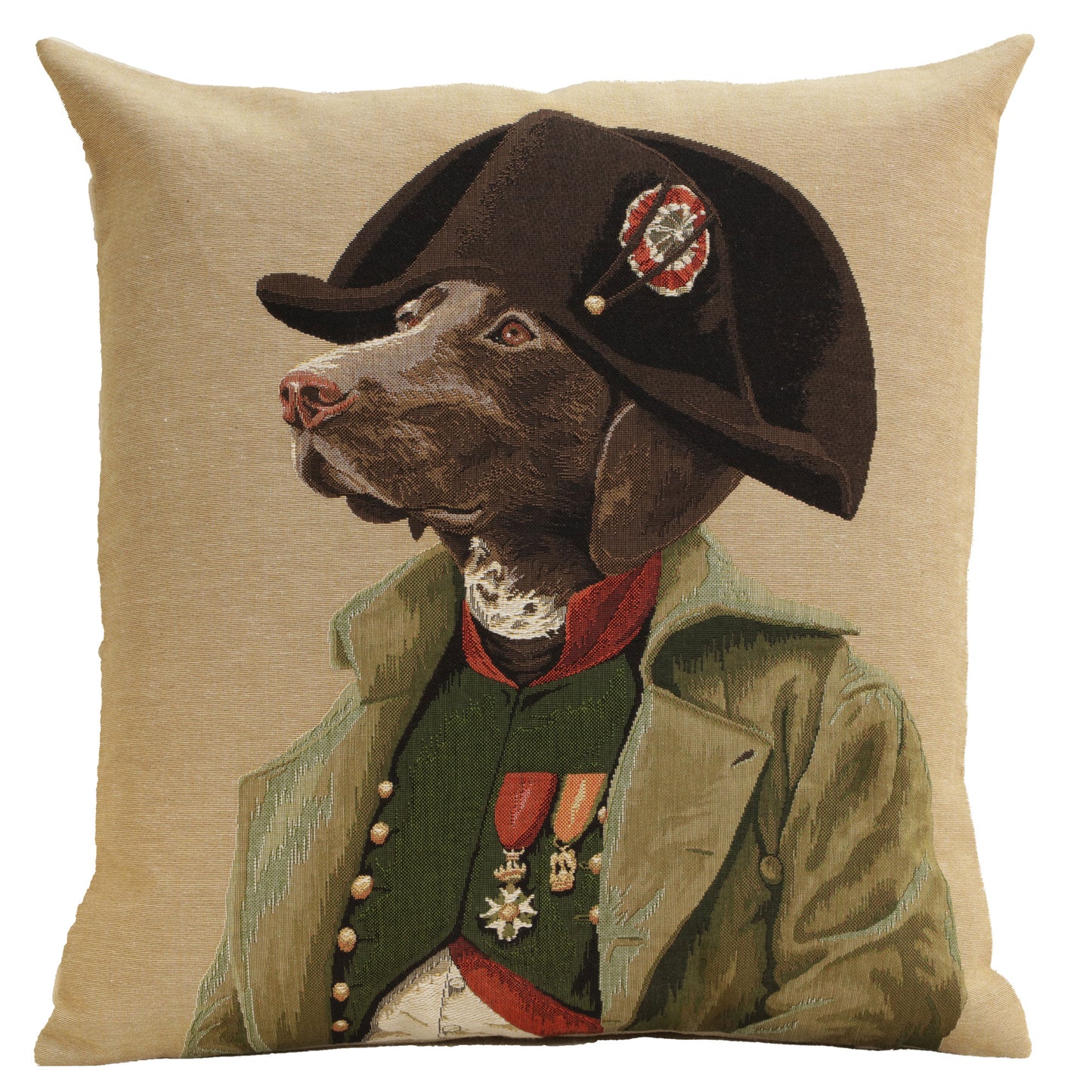Chien Napoleon European Cushion Covers