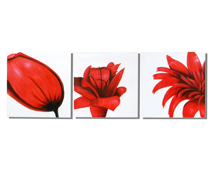 Red Flower Trilogy Canvas Wall Art