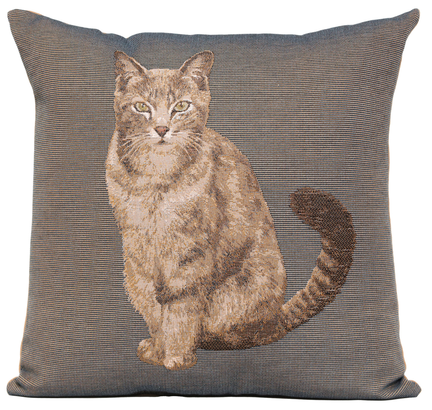 Tabby Cat Sitting Dark Grey French Cushion Cover