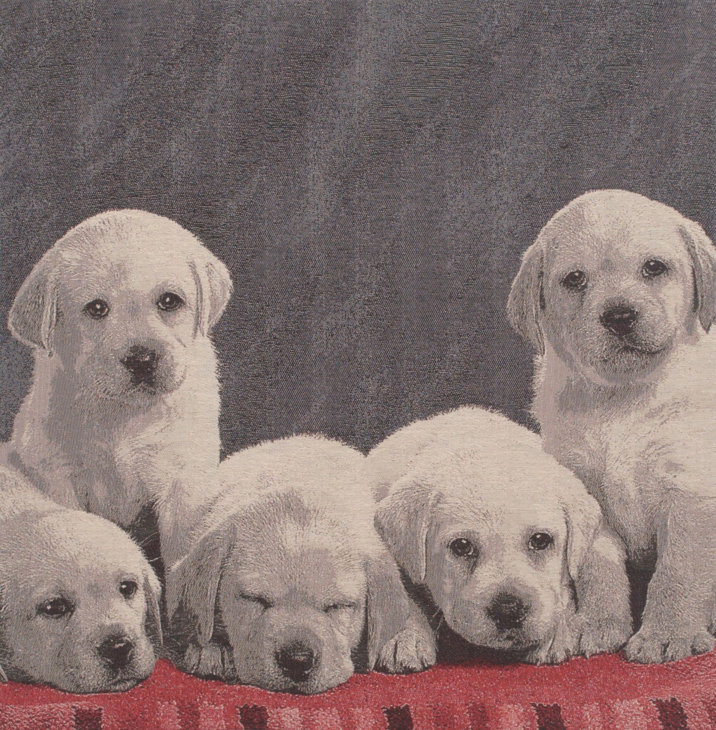 Puppy Loves Stretched Wall Tapestry