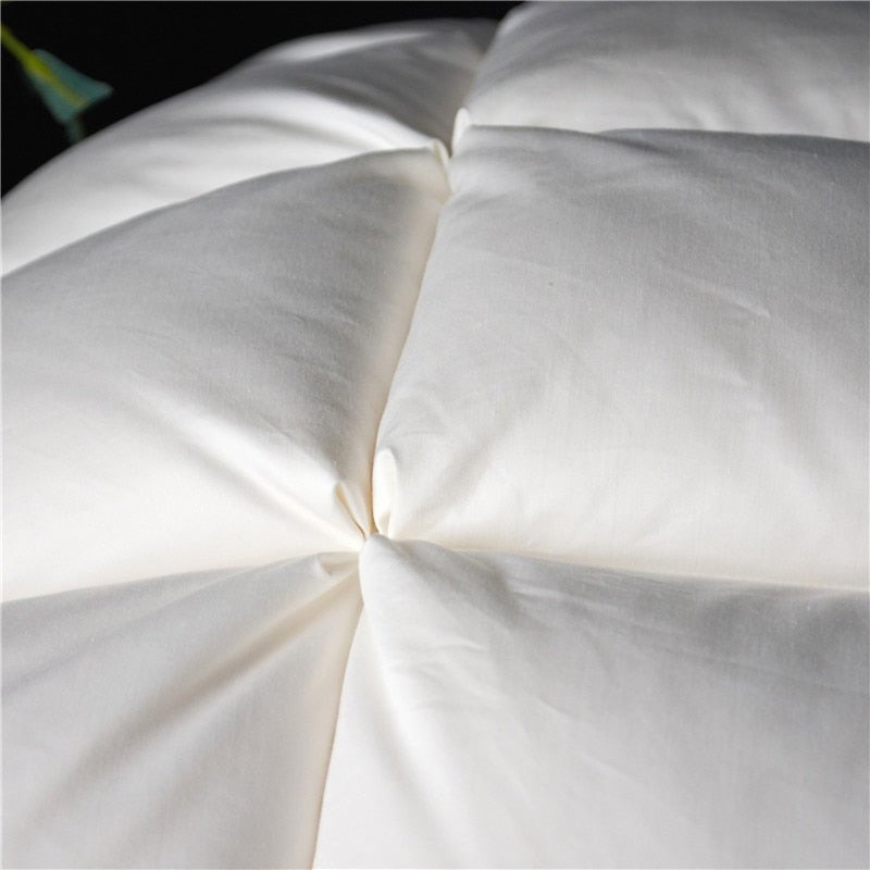 Amor Premium Natural Goose Down Pillow Set 2Pcs - RoseStraya.com