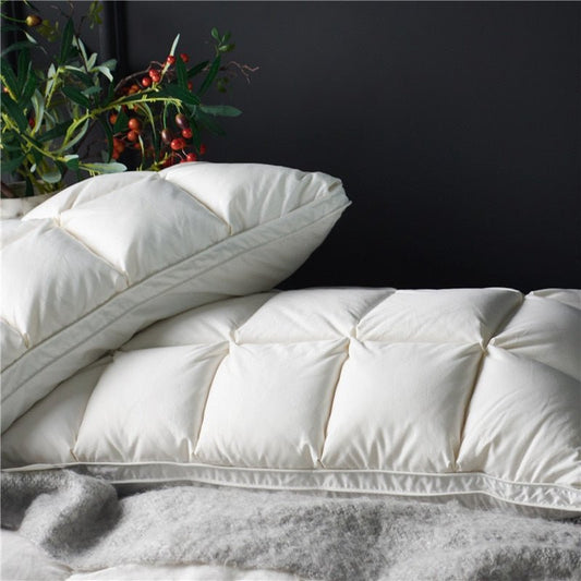 Amor Premium Natural Goose Down Pillow Set 2Pcs - RoseStraya.com