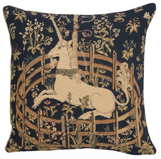 Captive Unicorn I European Cushion Covers