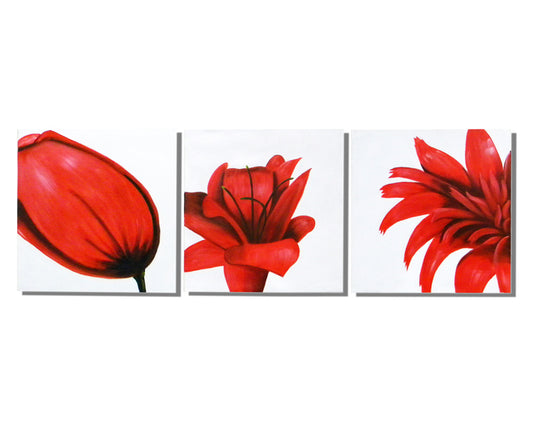 Red Flower Trilogy Canvas Wall Art