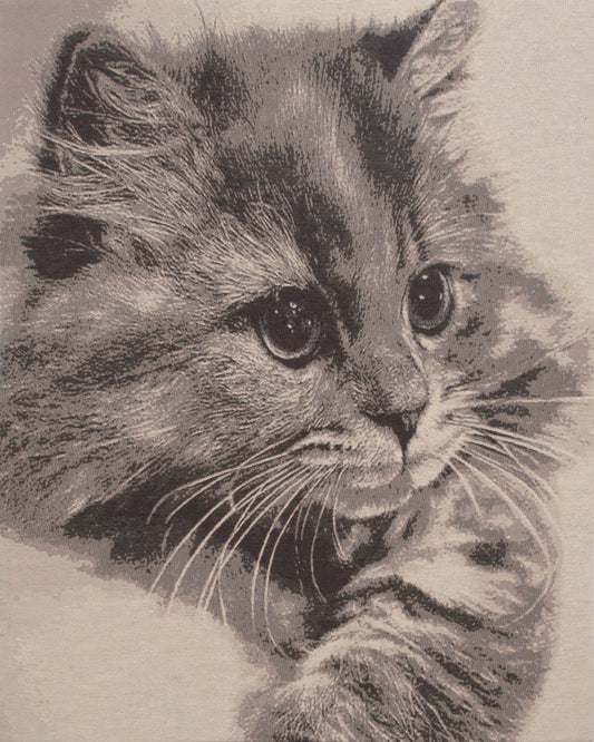 Mister Whiskers Stretched Wall Tapestry