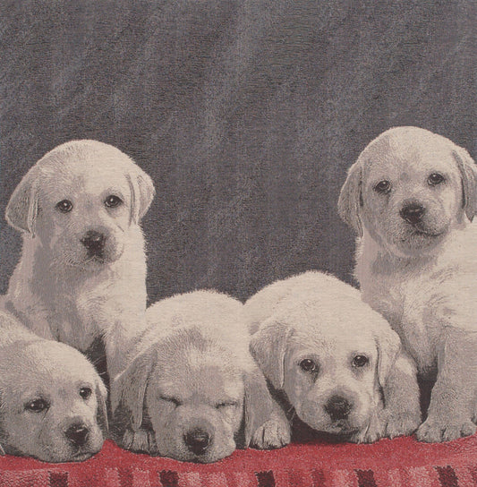 Puppy Loves Stretched Wall Tapestry