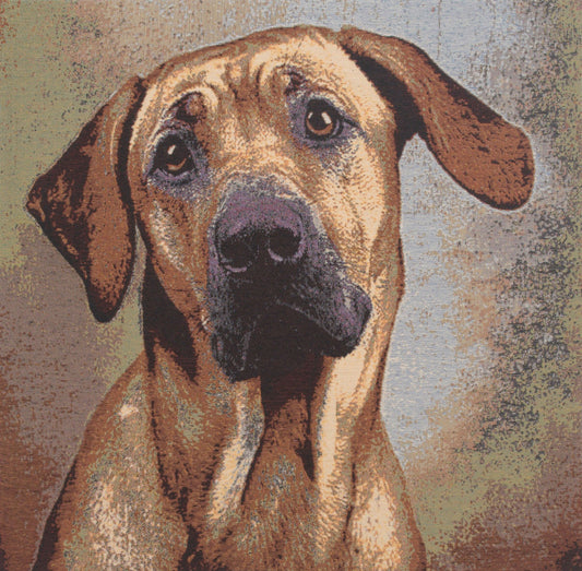 Soft Eyes Stretched Wall Tapestry