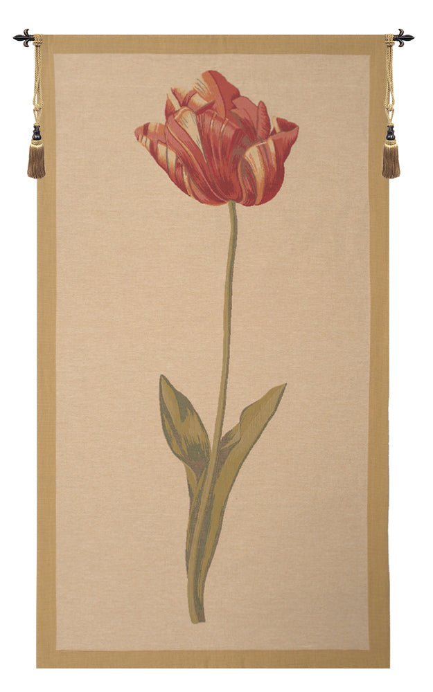 Redoute Tulip European Tapestry - RoseStraya.com