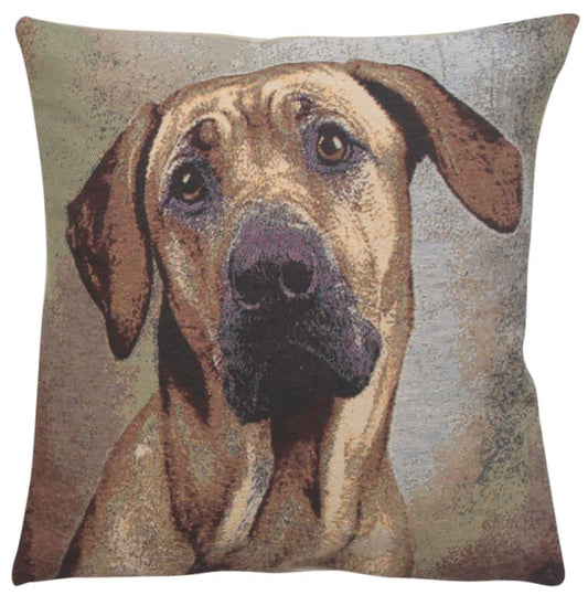 Soft Eyes II Decorative Pillow Cushion Cover - RoseStraya.com