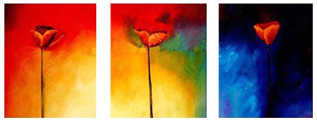 Triage of Tulips Canvas Wall Art - RoseStraya.com